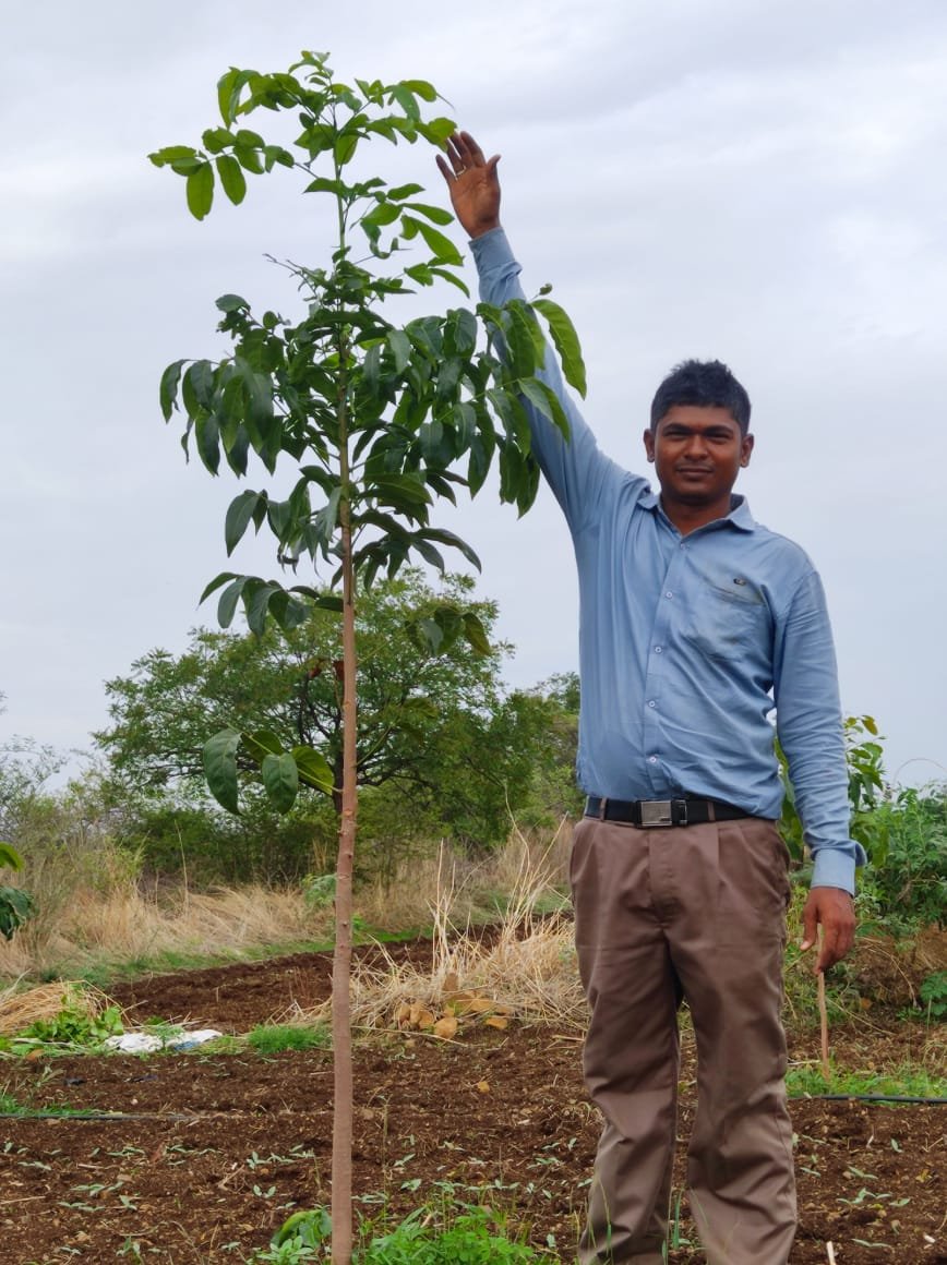 Government School Tree Plantation Drive