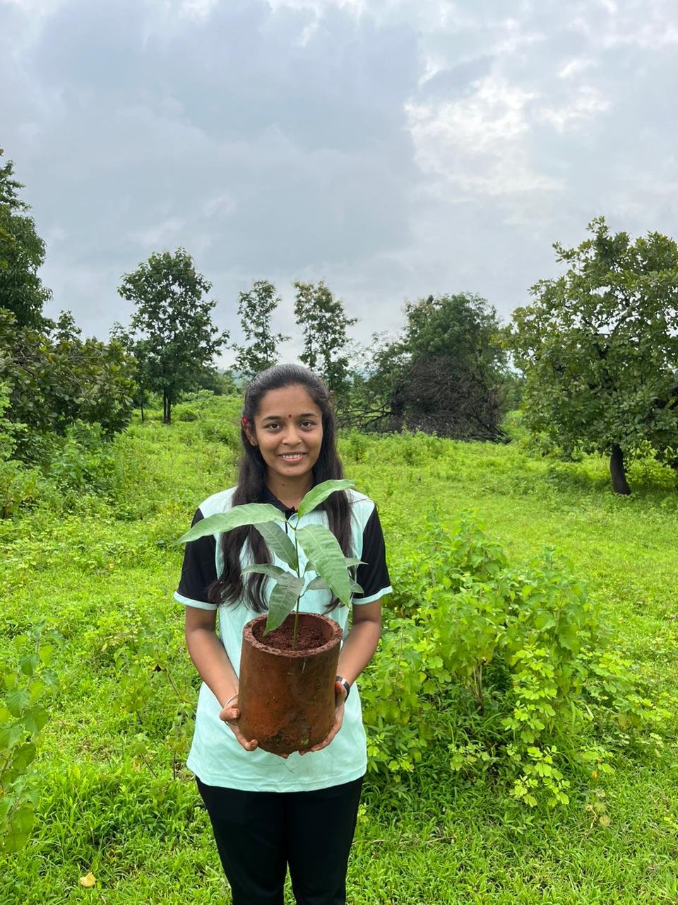 Bio-Diverse Native Species Ecological Restoration