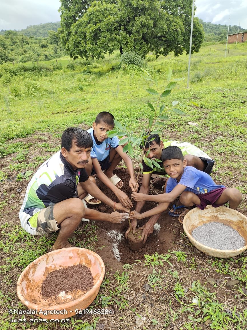 Foundation Governance & Agronomist Field Inspection